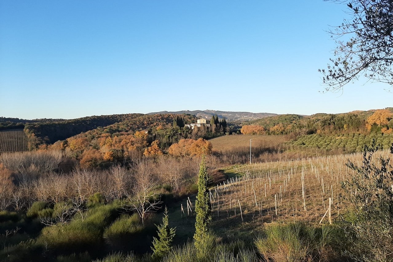 panorama-castelnuovo-berardenga