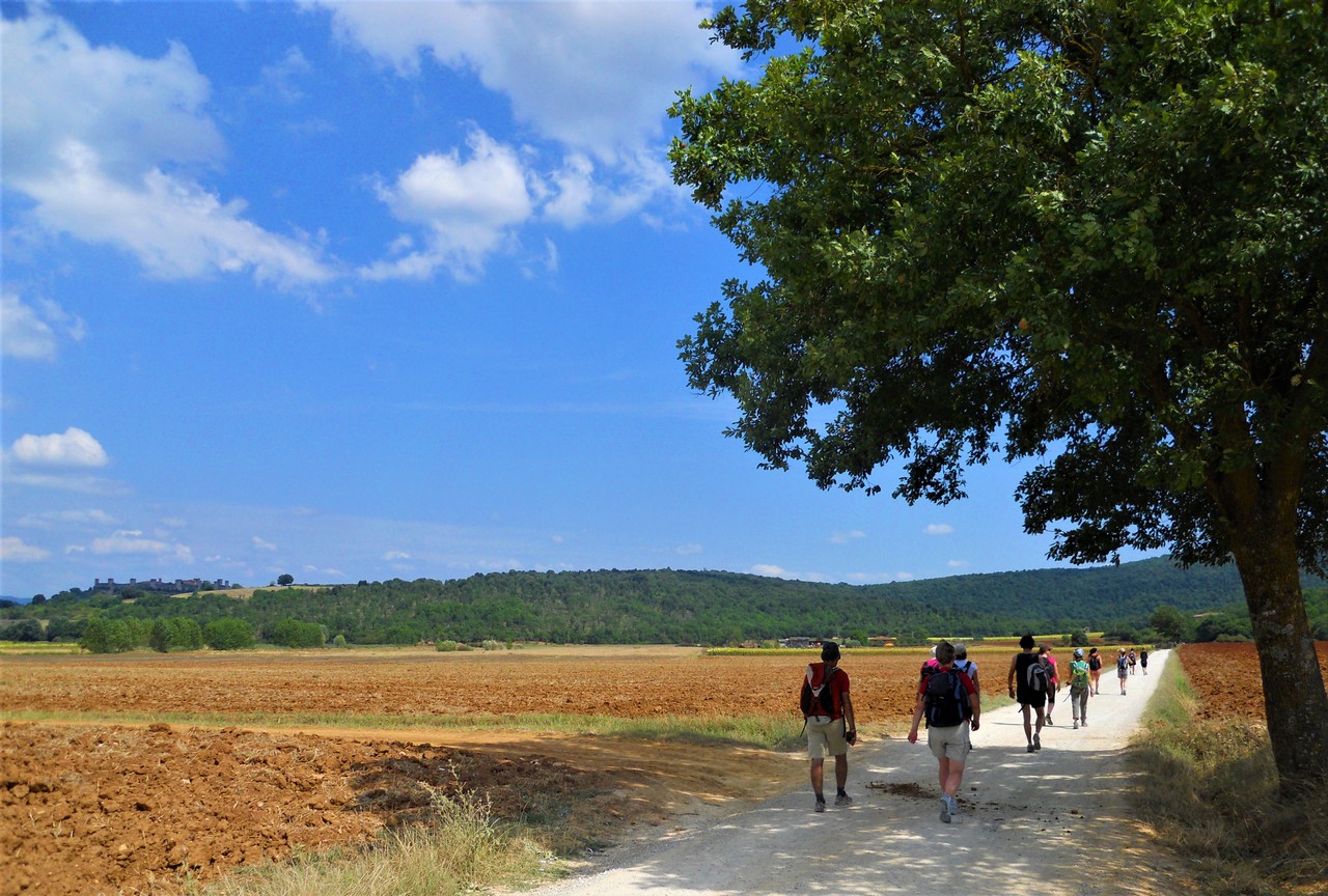 Via Francigena & other Italian Caminos